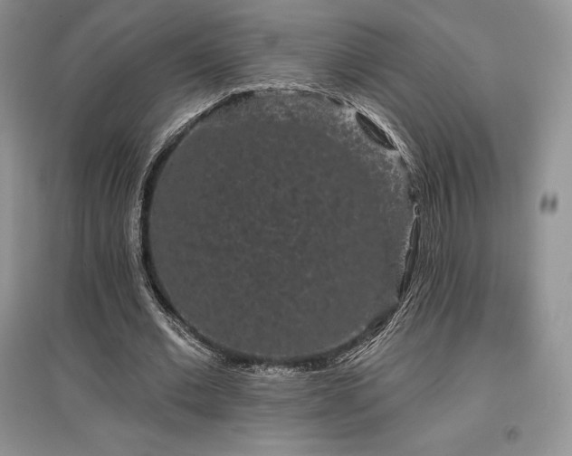 X0000097630677200803071531