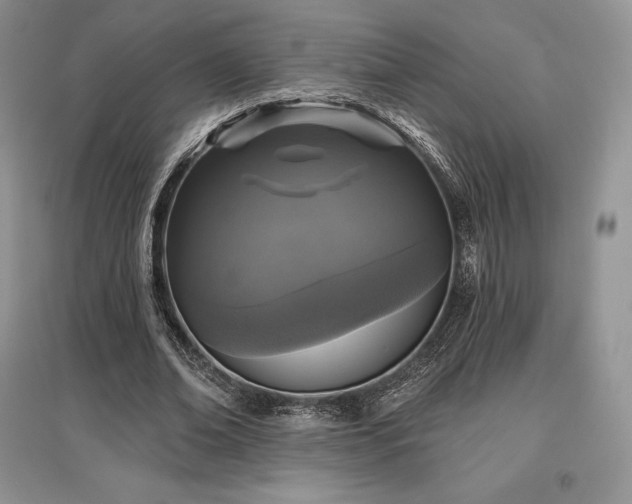 X0000097630678200803071531