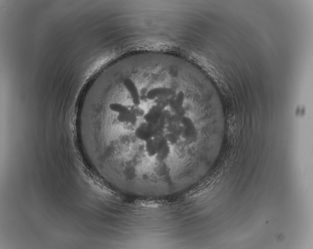 X0000097630679200803071531