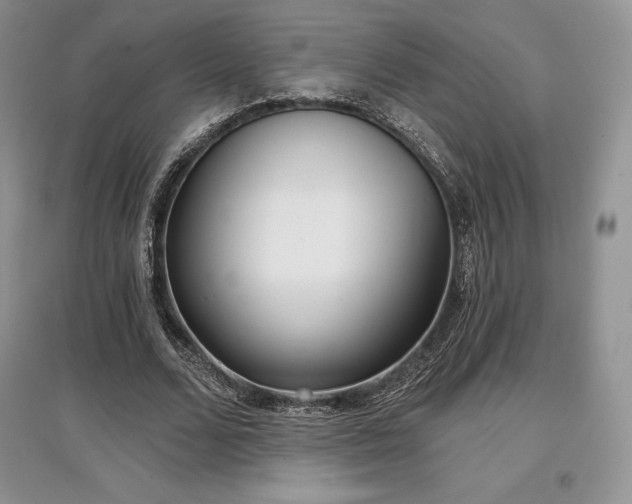 X0000097630680200803071531