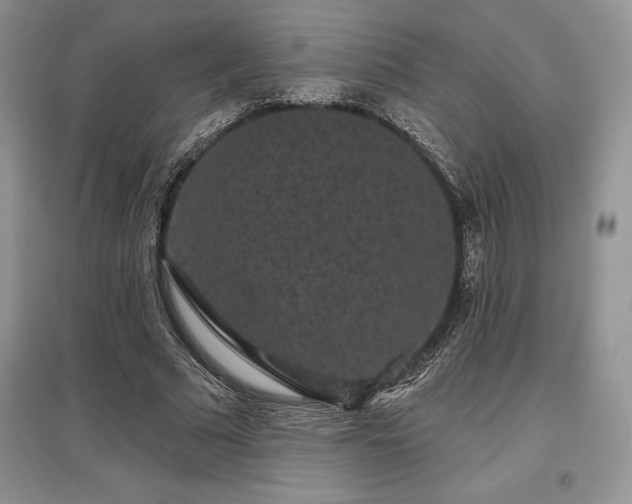 X0000097630681200803071531