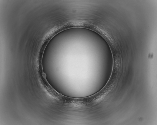 X0000097630682200803071531