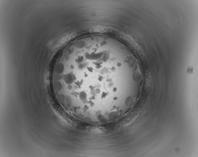 X0000097630683200803071531