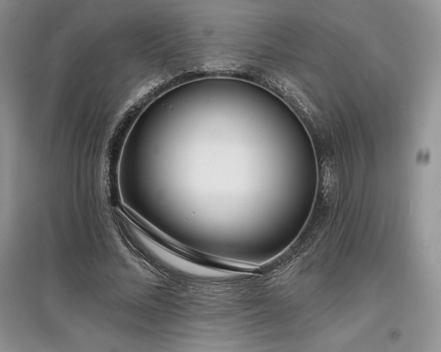 X0000097630684200803071531