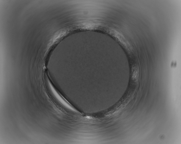 X0000097630685200803071531