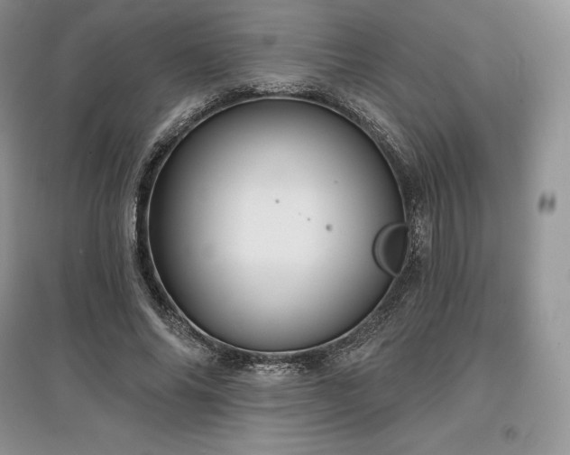 X0000097630686200803071531