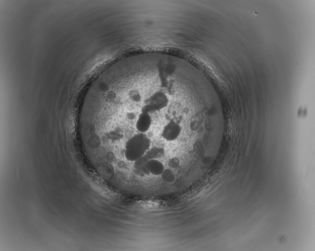 X0000097630687200803071531