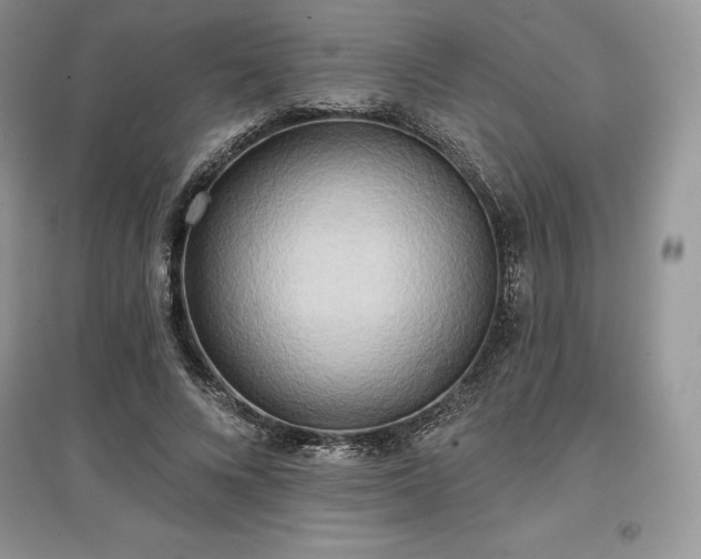 X0000097630688200803071531