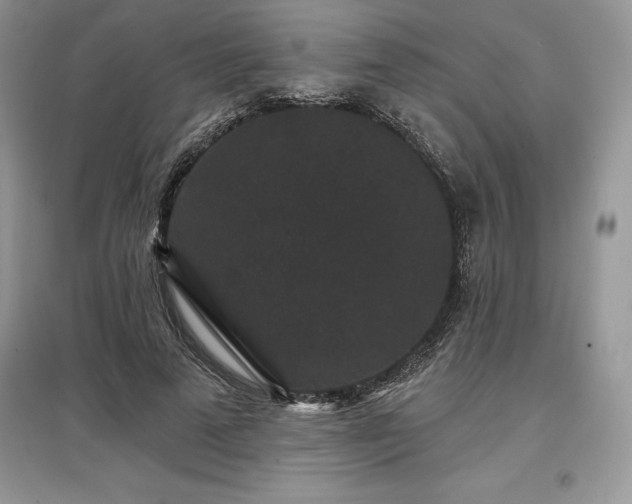 X0000097630689200803071531