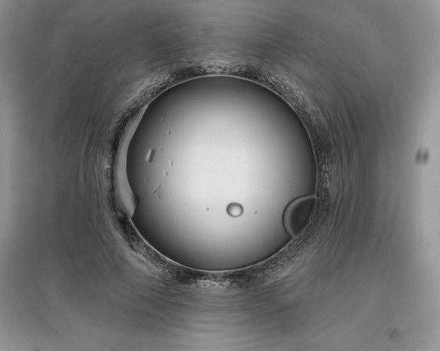 X0000097630690200803071531