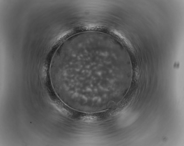 X0000097630691200803071531