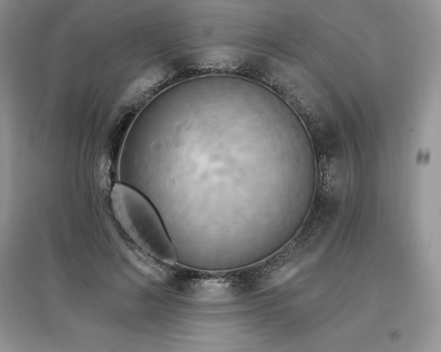 X0000097630692200803071531