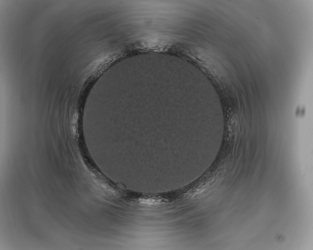 X0000097630693200803071531