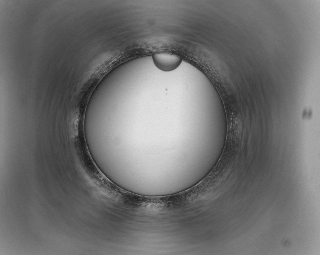 X0000097630694200803071531