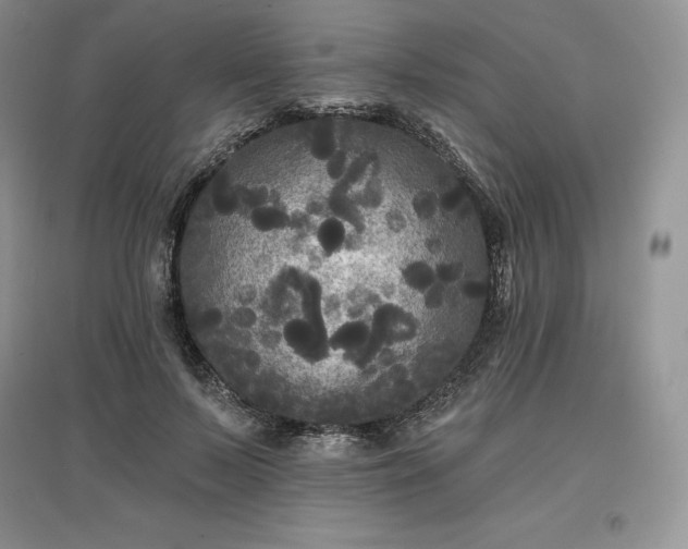 X0000097630695200803071531