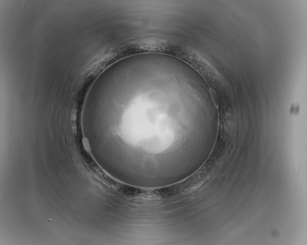 X0000097630696200803071531