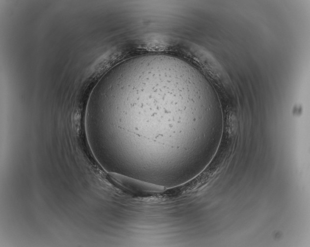 X0000097630697200803071531