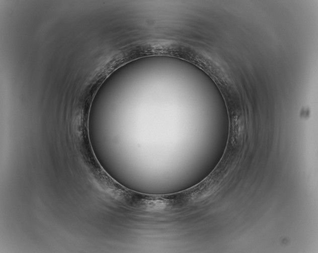 X0000097630698200803071531