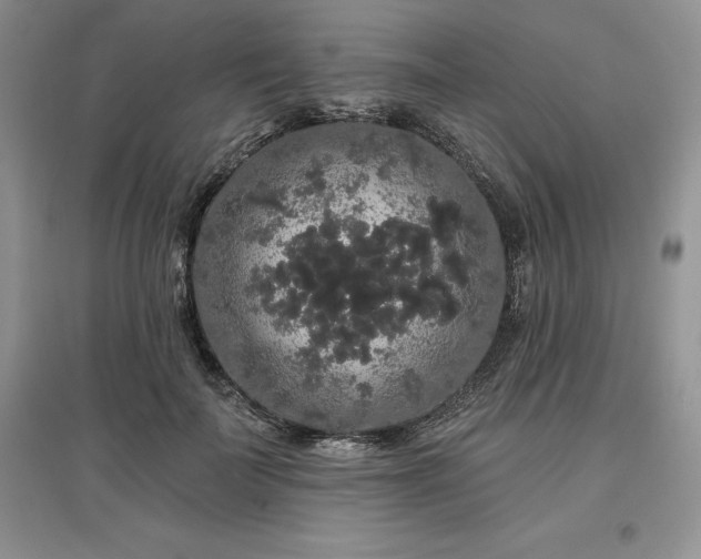 X0000097630699200803071531