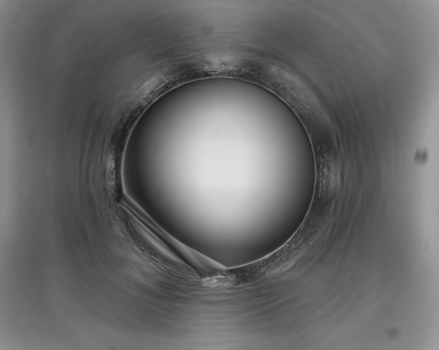 X0000097630700200803071531