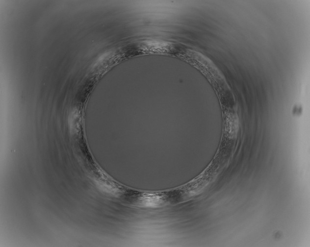 X0000097630701200803071531