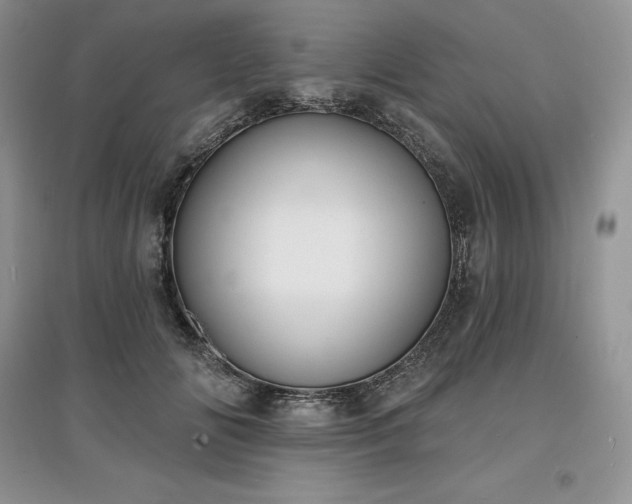 X0000097630702200803071531