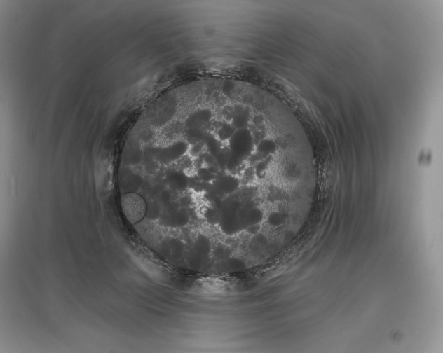 X0000097630703200803071531