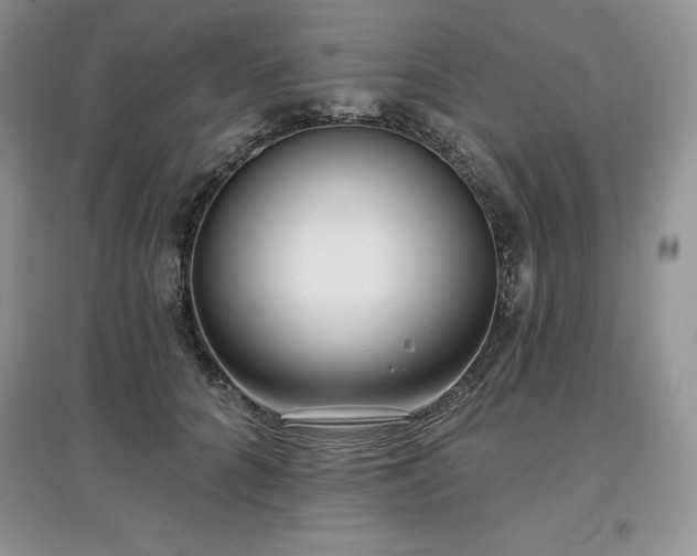 X0000097630704200803071531