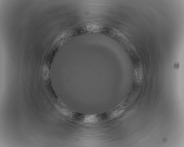 X0000097630705200803071531