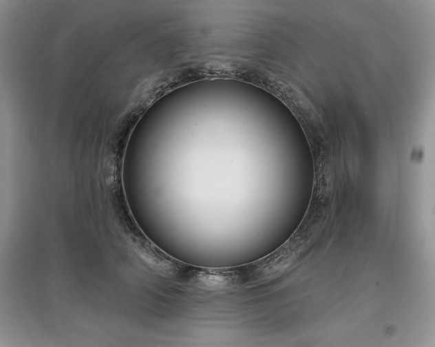 X0000097630706200803071531