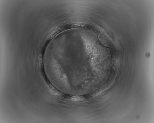 X0000097630707200803071531