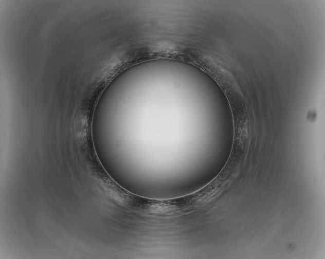 X0000097630708200803071531