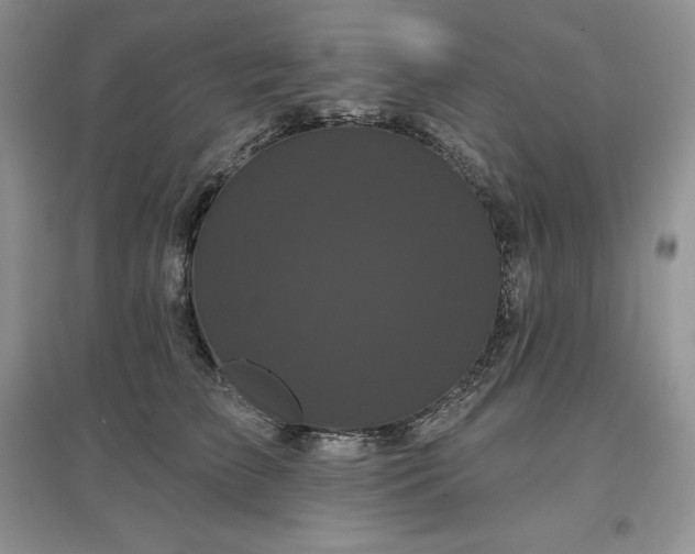 X0000097630709200803071531