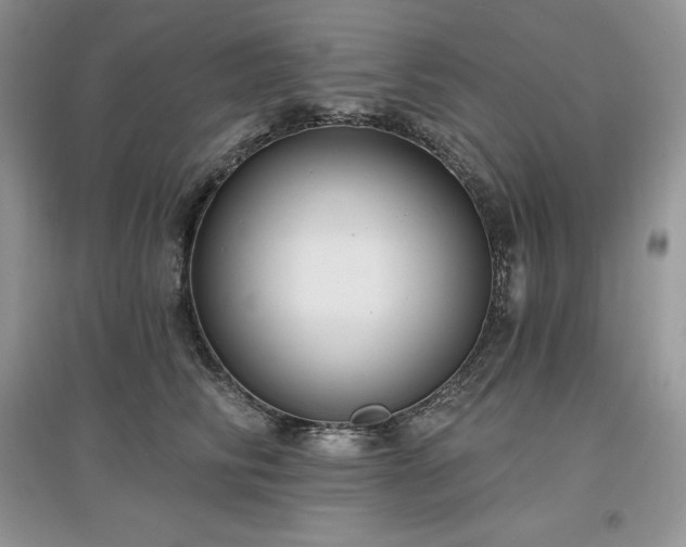 X0000097630710200803071531