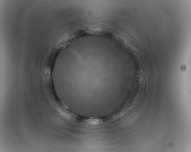 X0000097630711200803071531