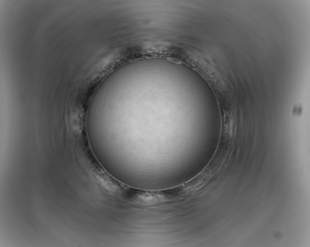 X0000097630712200803071531