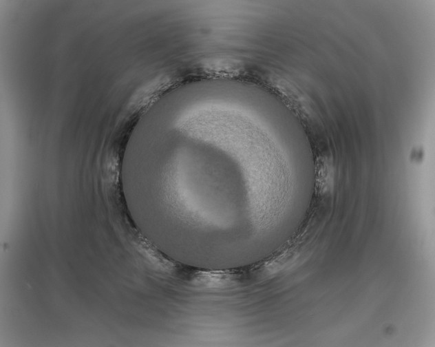 X0000097630713200803071531