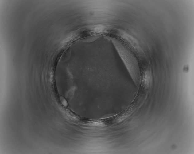 X0000097630715200803071531