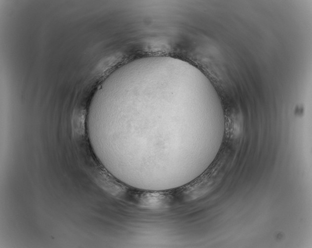 X0000097630717200803071531