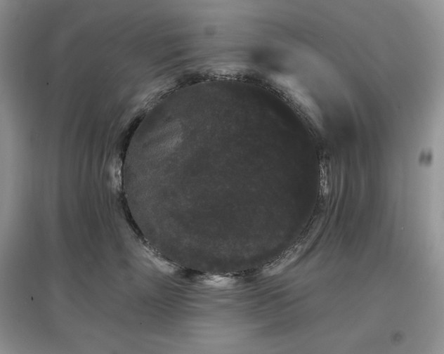 X0000097630718200803071531