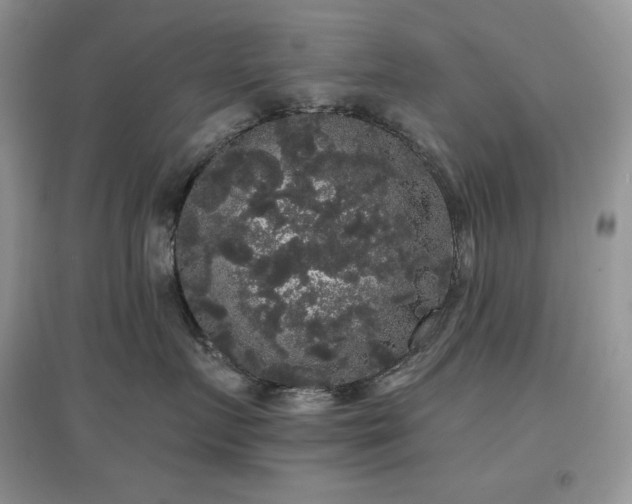 X0000097630719200803071531