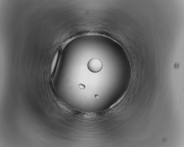 X0000097630720200803071531