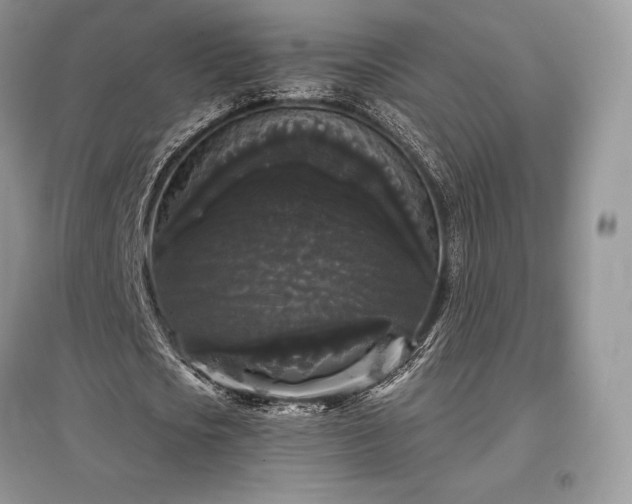 X0000097630721200803071530