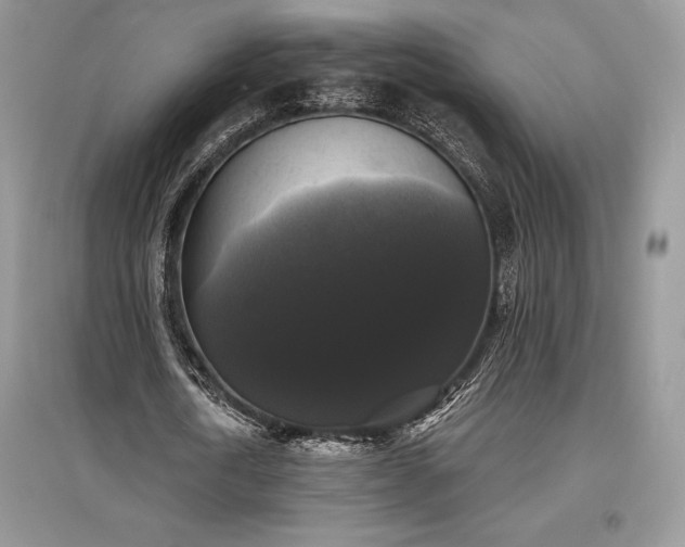 X0000097630722200803071530