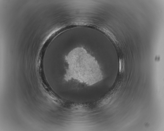 X0000097630723200803071530