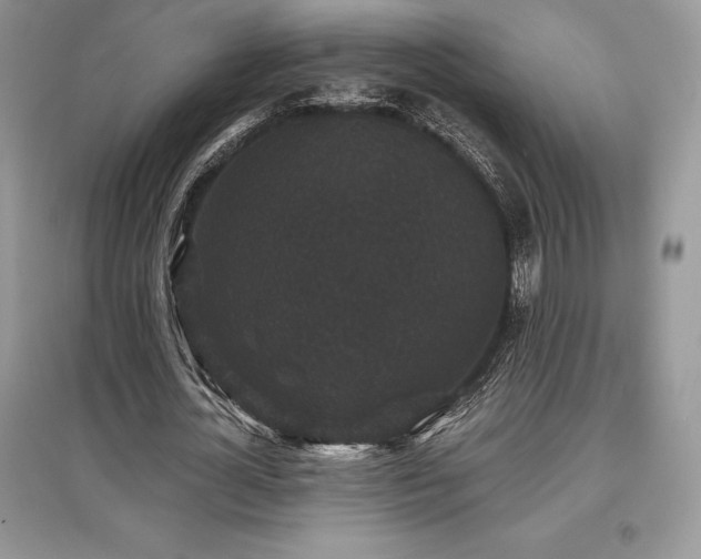 X0000097630724200803071530