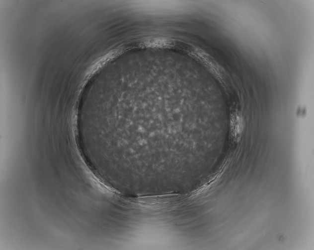 X0000097630725200803071530