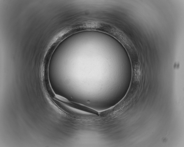 X0000097630726200803071530