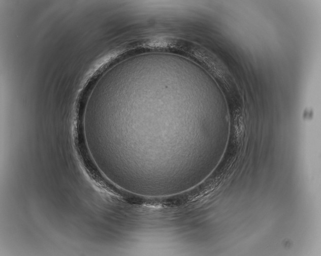 X0000097630728200803071530