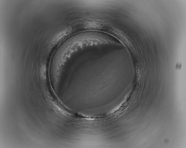 X0000097630729200803071530